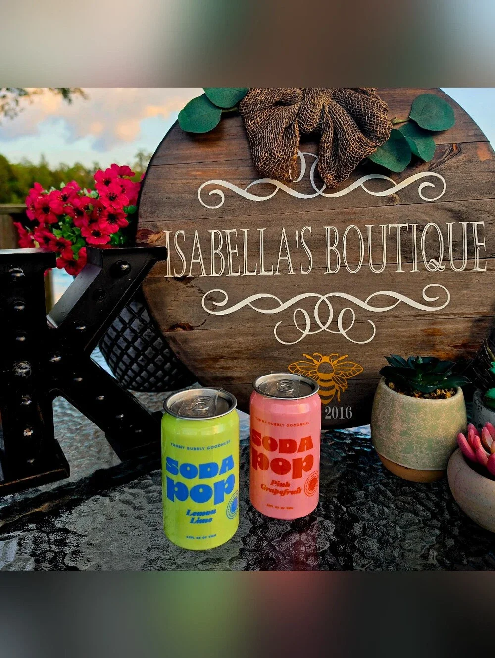 2 Secret Compartment Soda Pop  Cans